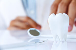 dentist holding molar,dental concept